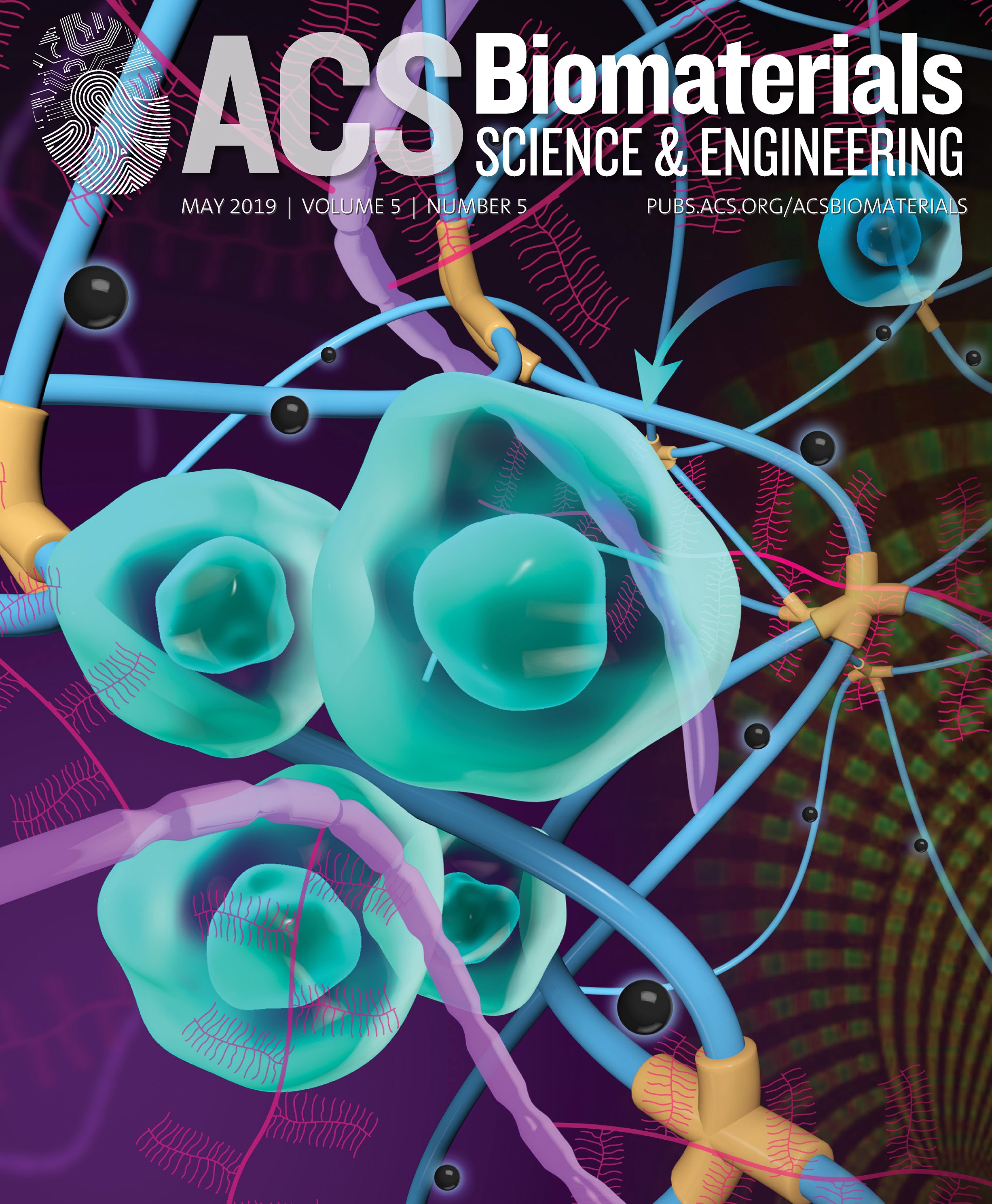 Research Creative Illustration, Journal Cover  Art Design, ACS Biomaterials Science & Engineering
